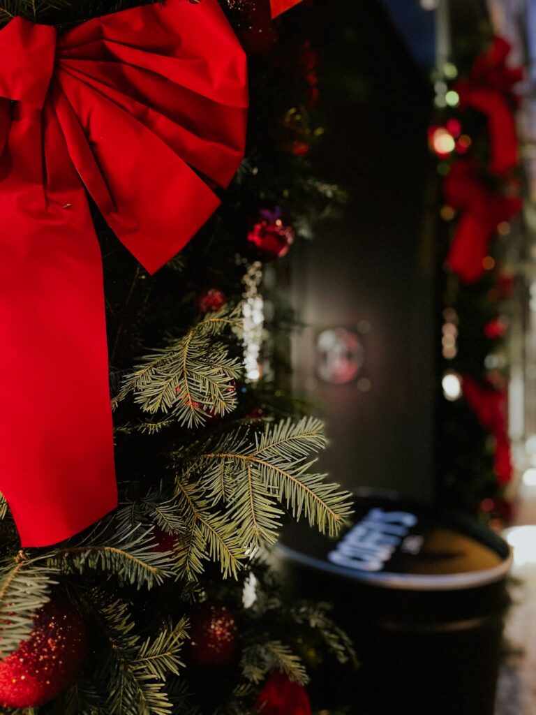 Le magasin aux couleurs de Noël